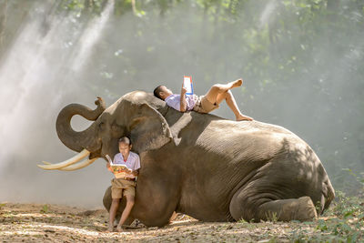 Boys reading books by elephant