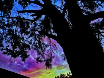 Low angle view of silhouette trees against sky at night