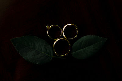 Close-up of rings on leaves against black background