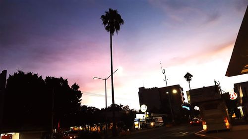 Silhouette of palm trees against sky at sunset