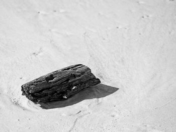 High angle view of a rock on sand