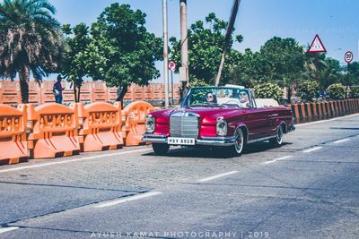 Cars on road against trees in city