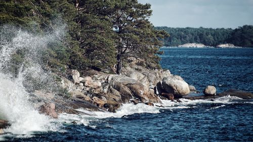 Scenic view of sea against trees