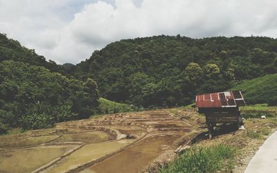 Panoramic shot of road amidst trees against sky