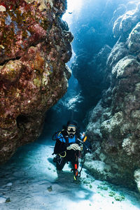 Scuba diver exploring a canyon at the great barrier reef in australia