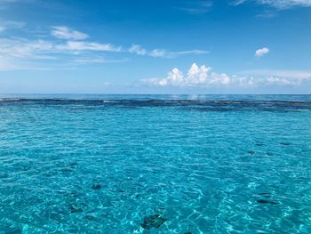 Scenic view of sea against blue sky