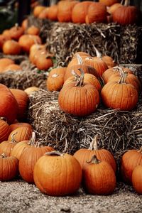 Pumpkins for sale at market stall