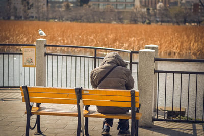 Rear view of man sitting on bench in park