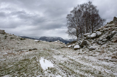 Snow covered land and trees against sky