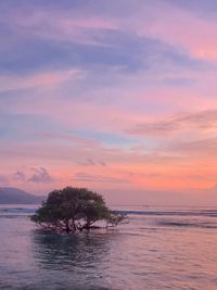 Scenic view of sea against orange sky