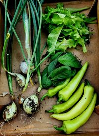 Vegetables from garden in a cardboard flat