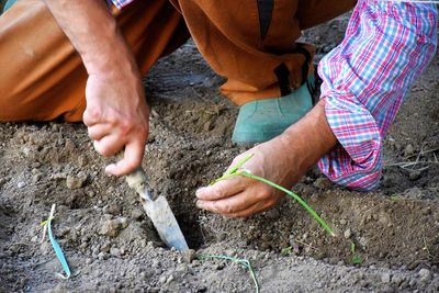 Low section of man planting on field