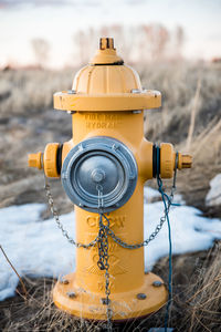 Close-up of fire hydrant on field