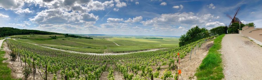 Panoramic shot of agricultural field against sky