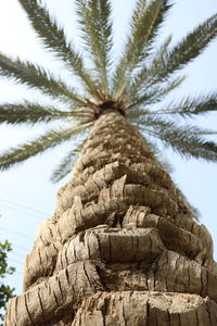 Low angle view of statue of palm tree against sky