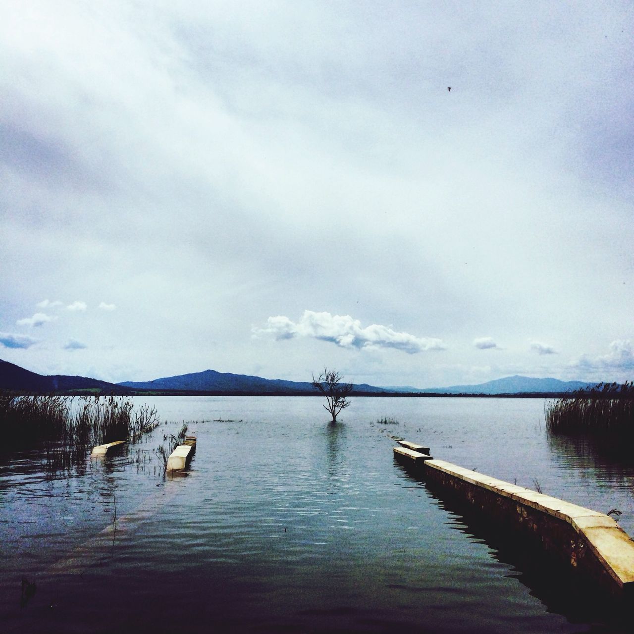 water, sky, tranquil scene, tranquility, lake, waterfront, scenics, bird, cloud - sky, nautical vessel, nature, transportation, beauty in nature, sea, reflection, boat, cloud, outdoors, idyllic, day