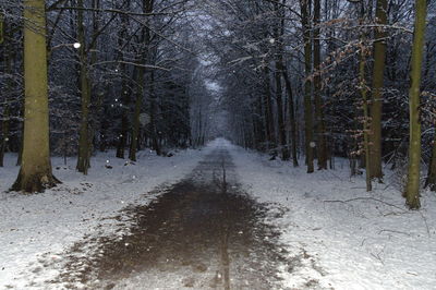 Road amidst trees in forest during winter