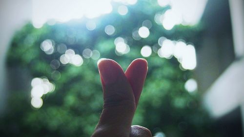 Close-up of human hand against sky