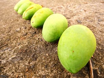 High angle view of green fruits