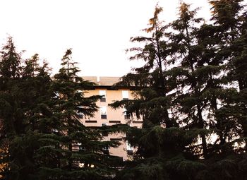 Trees and plants against sky