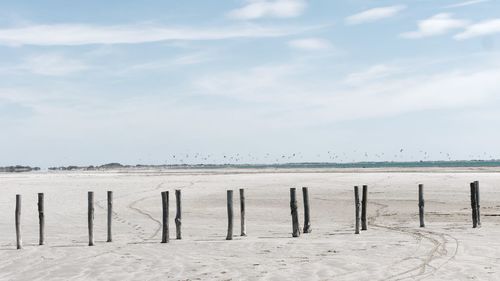 Wooden posts on beach against sky