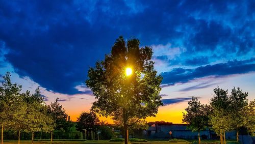 Sunlight streaming through trees against sky during sunset