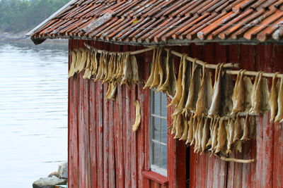 Fish drying on roof of building by sea