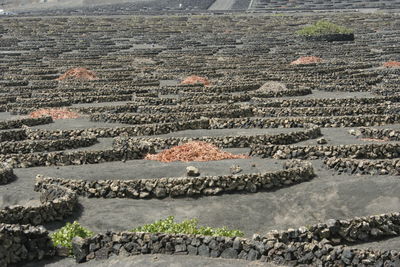 High angle view of field