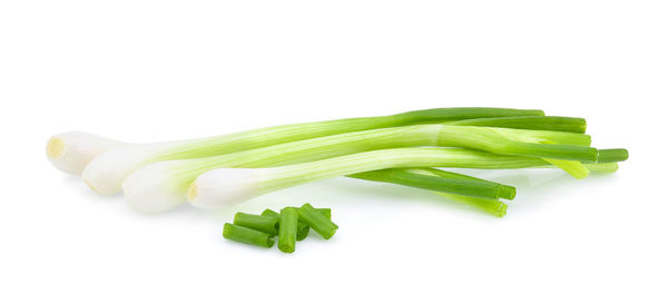 Close-up of green leaf against white background