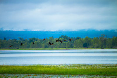 Scenic view of lake against sky