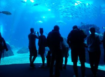 Group of people at aquarium