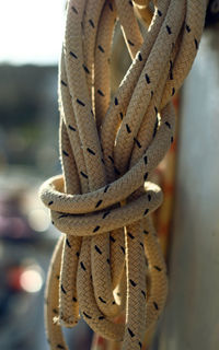 Close-up of rope tied on wood