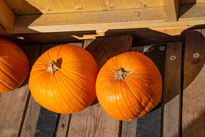 High angle view of pumpkins on wood during autumn