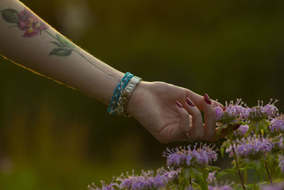 Close-up of hand on purple flowering plant