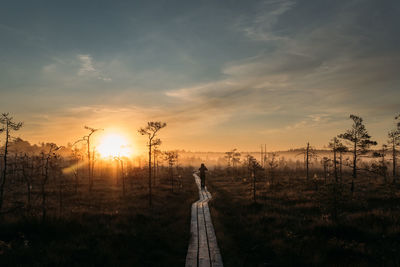 Silhouette person standing on land against sky during sunset