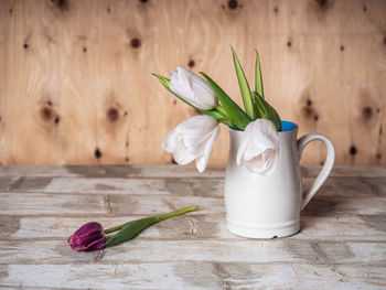 Close-up of tulip on table