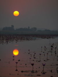 Scenic view of lake against sky during sunset