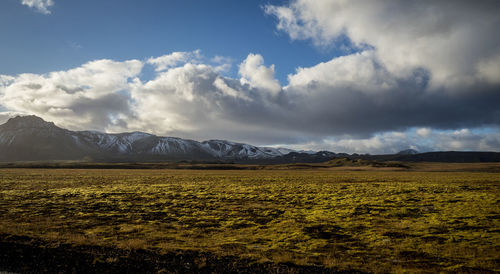 Scenic view of field against sky