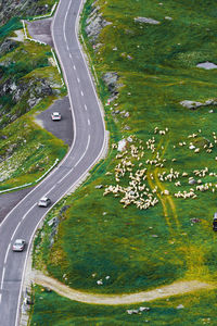 High angle view of vehicles on road