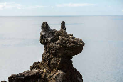 Driftwood on rock by sea against sky