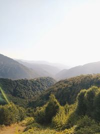 Scenic view of landscape against clear sky