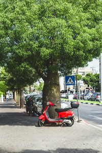 Bicycles on road against trees in city