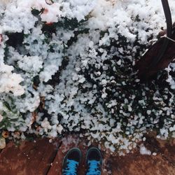 Low section of person standing by frozen lake