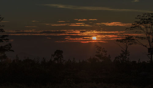 Scenic view of silhouette trees against sky during sunset