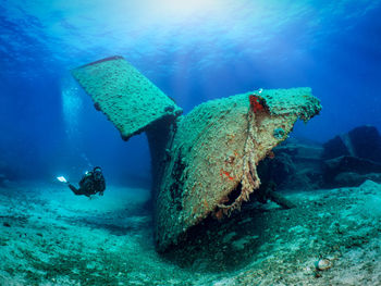 Green fish swimming in sea