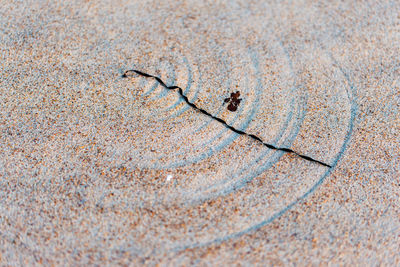 Full frame shot of sand