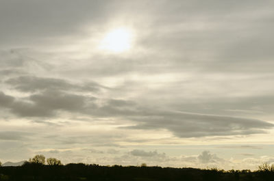 Low angle view of silhouette trees against sky