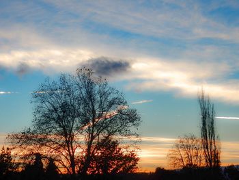 Silhouette trees against sky during sunset