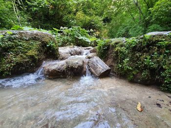 Stream flowing through rocks in forest