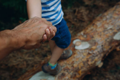 Close-up, the father holds the hand of his son, walking on the logs in the forest.
